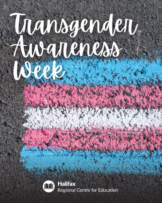 November 13-19 is Transgender Awareness Week